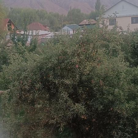 "Kamchybek Ata" Guest House B&B Tert-Kul' Esterno foto