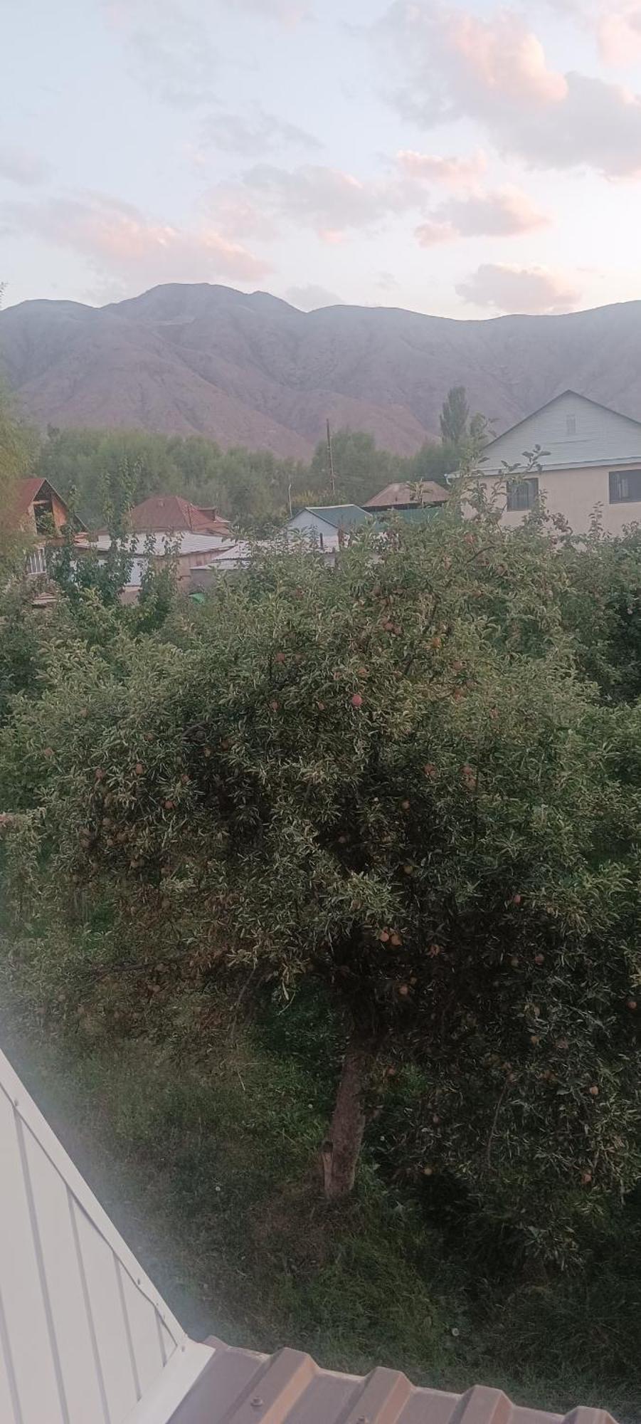 "Kamchybek Ata" Guest House B&B Tert-Kul' Esterno foto